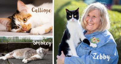 Cats Protection Announces National Cat Awards finalists